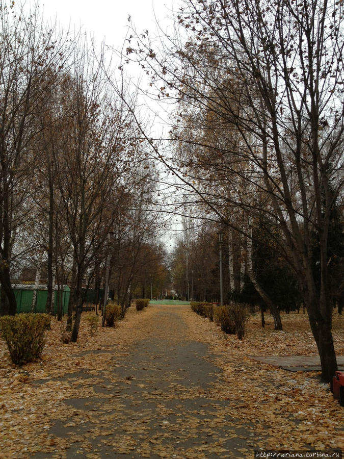 Сюда (не) хочется вернуться Россия