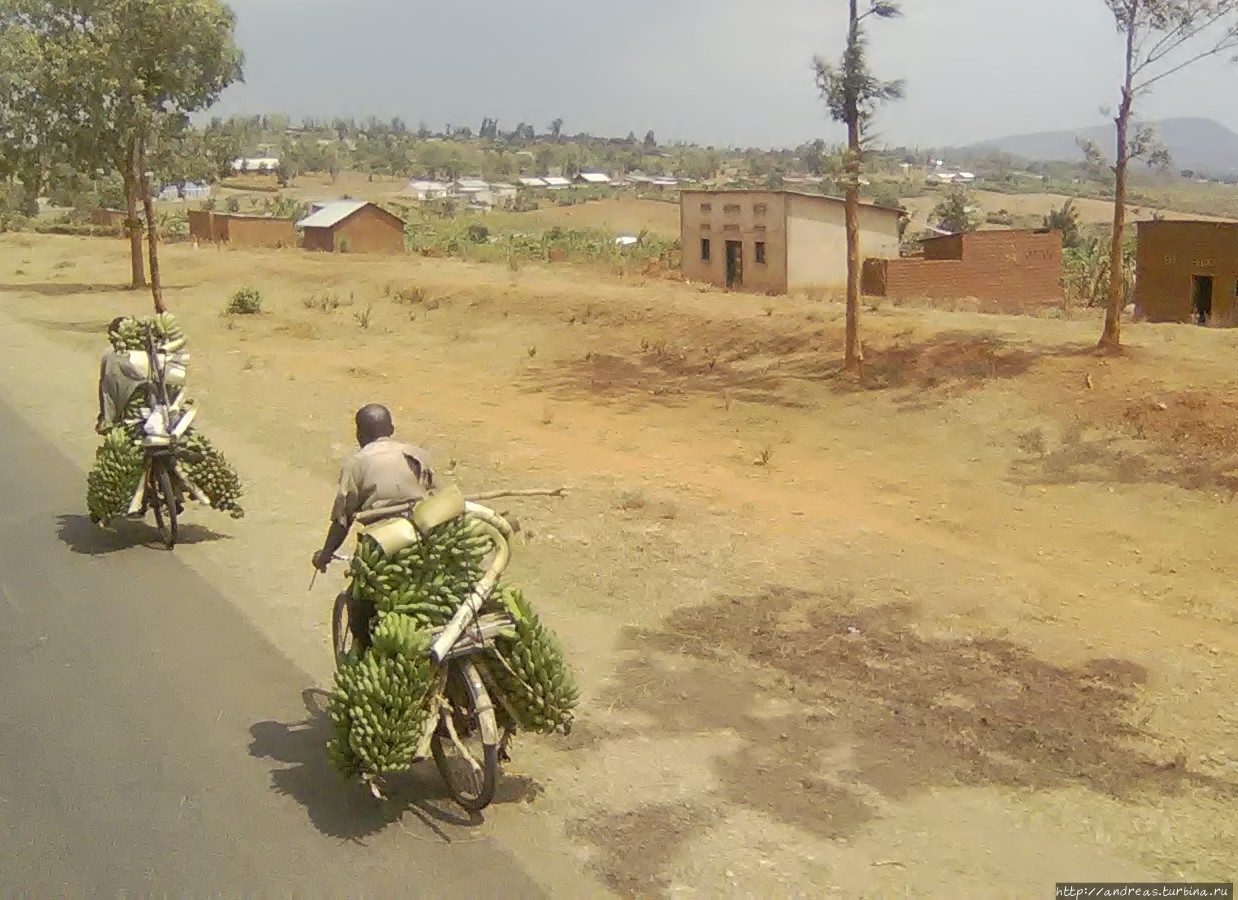 Путешествие вокруг Виктории. Руанда и Бурунди Кигали, Руанда