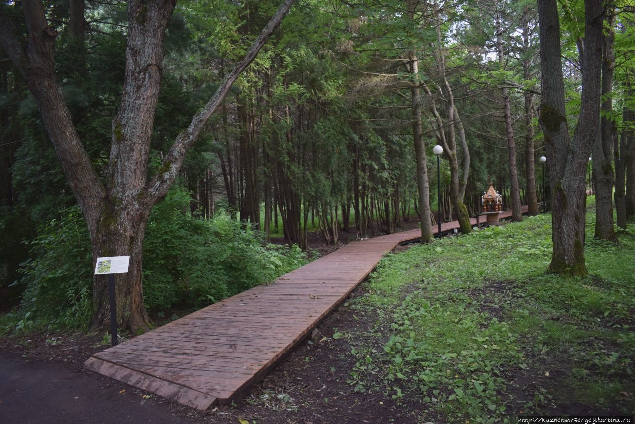 Переславль-залесский сад дендрарий. Дендрологический парк переславль залесский. Дендрологический парк переславль залесский. Дендрологический сад переславль залесский. Сады переславля залесского.