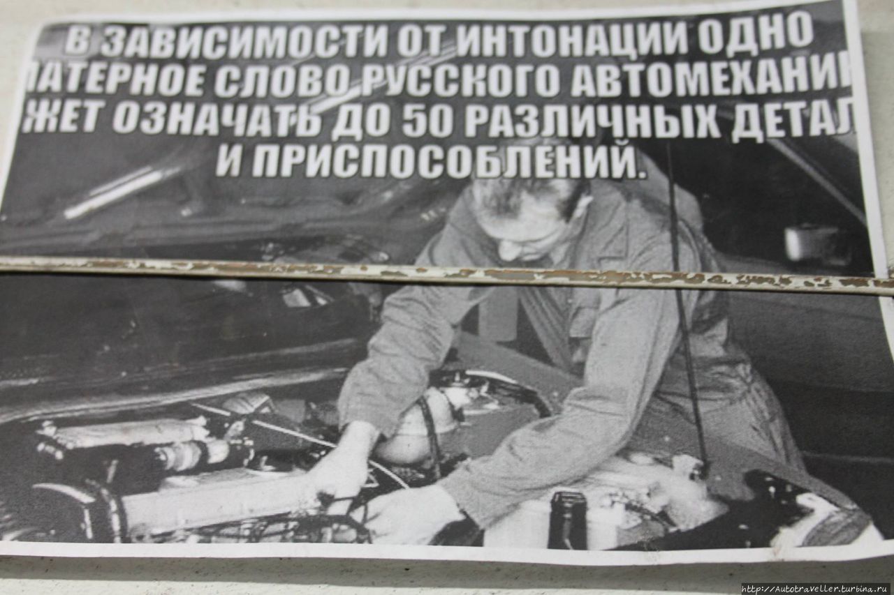 чувство юмора — хороший показатель! Монголия