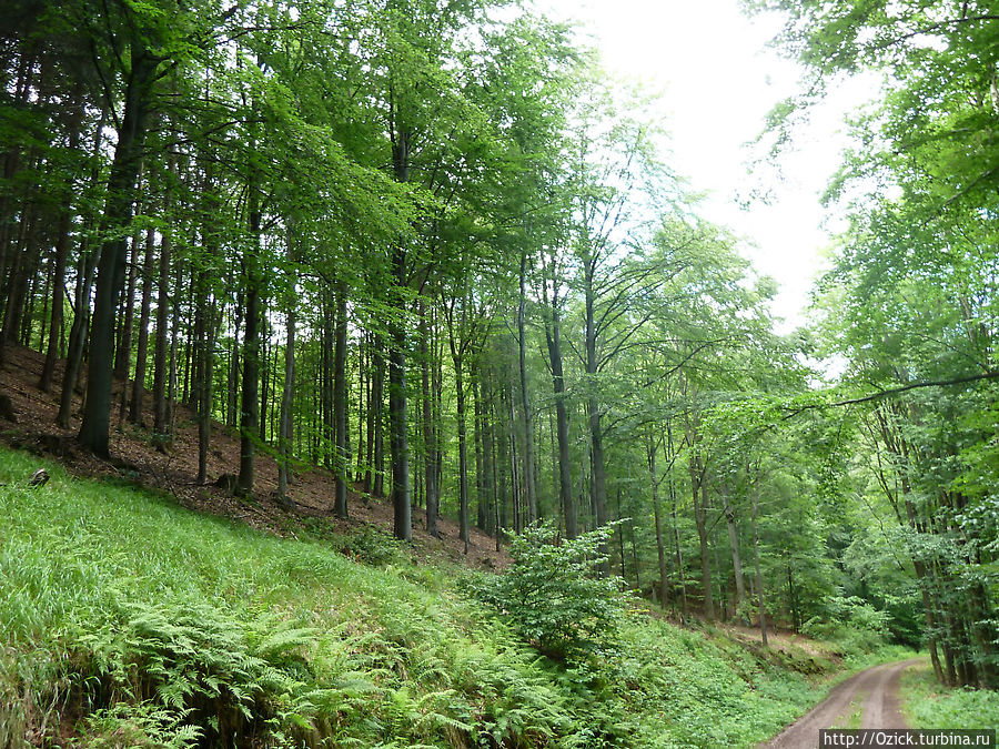 Тюрингия Ремарка Веймар, Германия