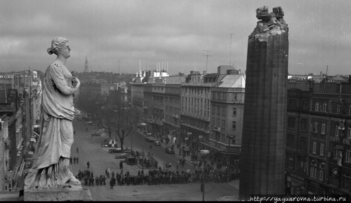 фото из интернета фото из интернета