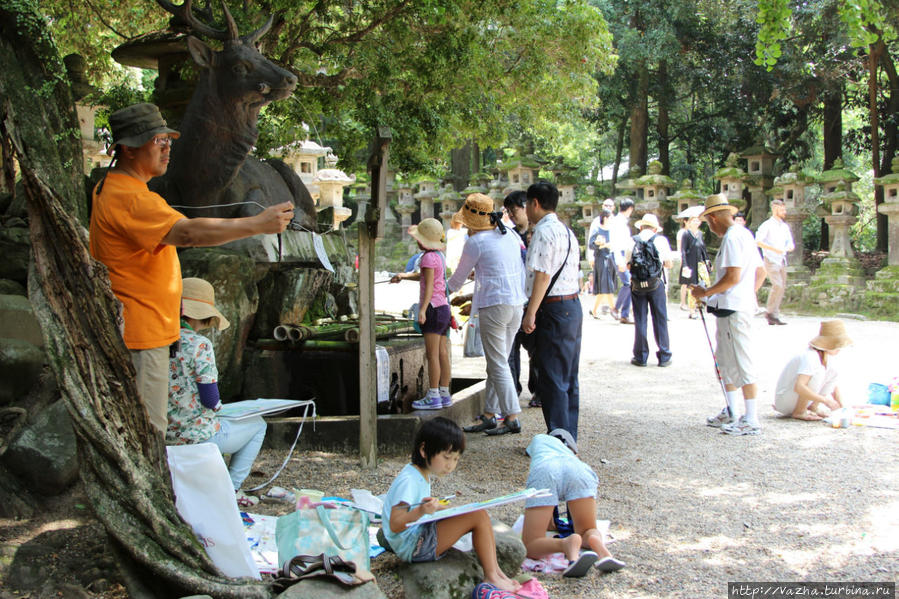 Люди и олени в парке Нары Нара, Япония