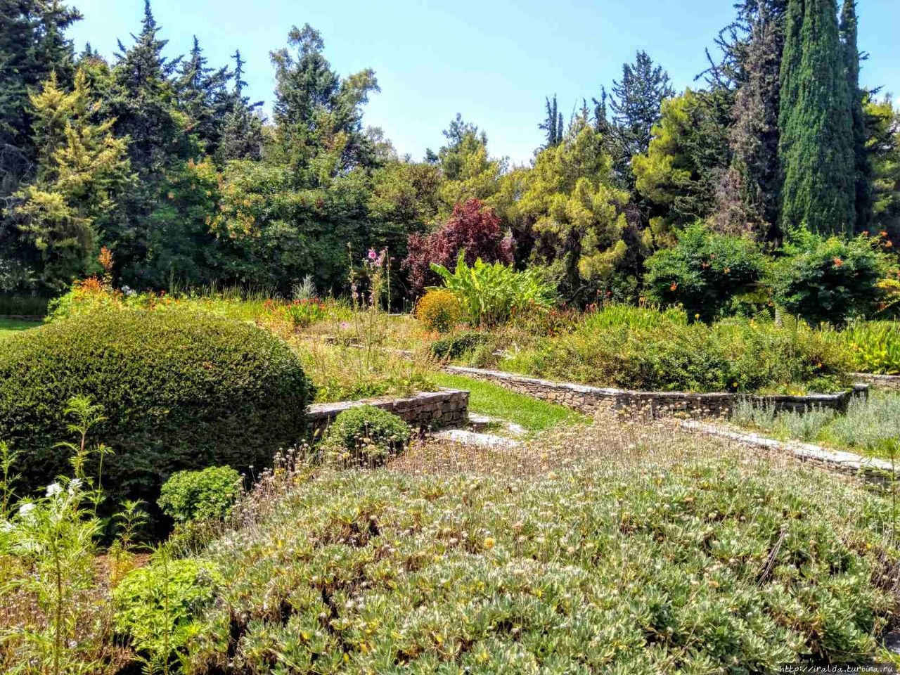 Ботанический сад Диомидус Афины, Греция