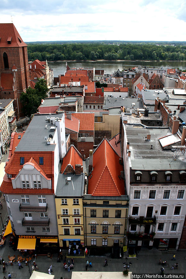 Таким город видят птицы Торунь, Польша