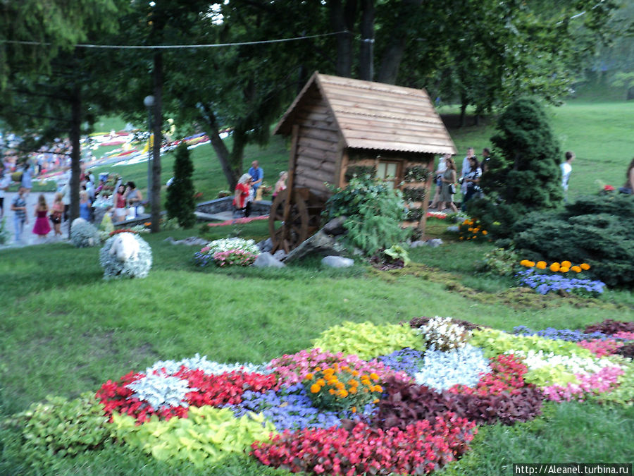 Выставка цветов Киев, Украина