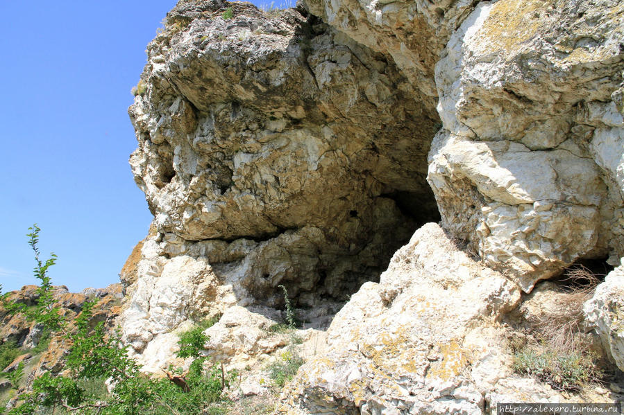 Палеолитическая пещера на вершине правого склона Брынзенского ущелья, Единец Молдова