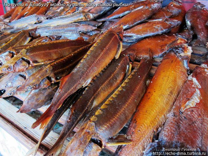 ЕЛАБУГА — ГОРОД МУЗЕЙ Елабуга, Россия