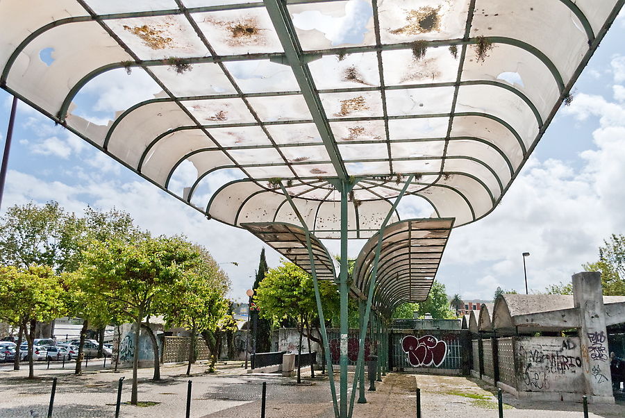 На этой станции находится зоопарк. Нет, животные оттуда не сбежали.