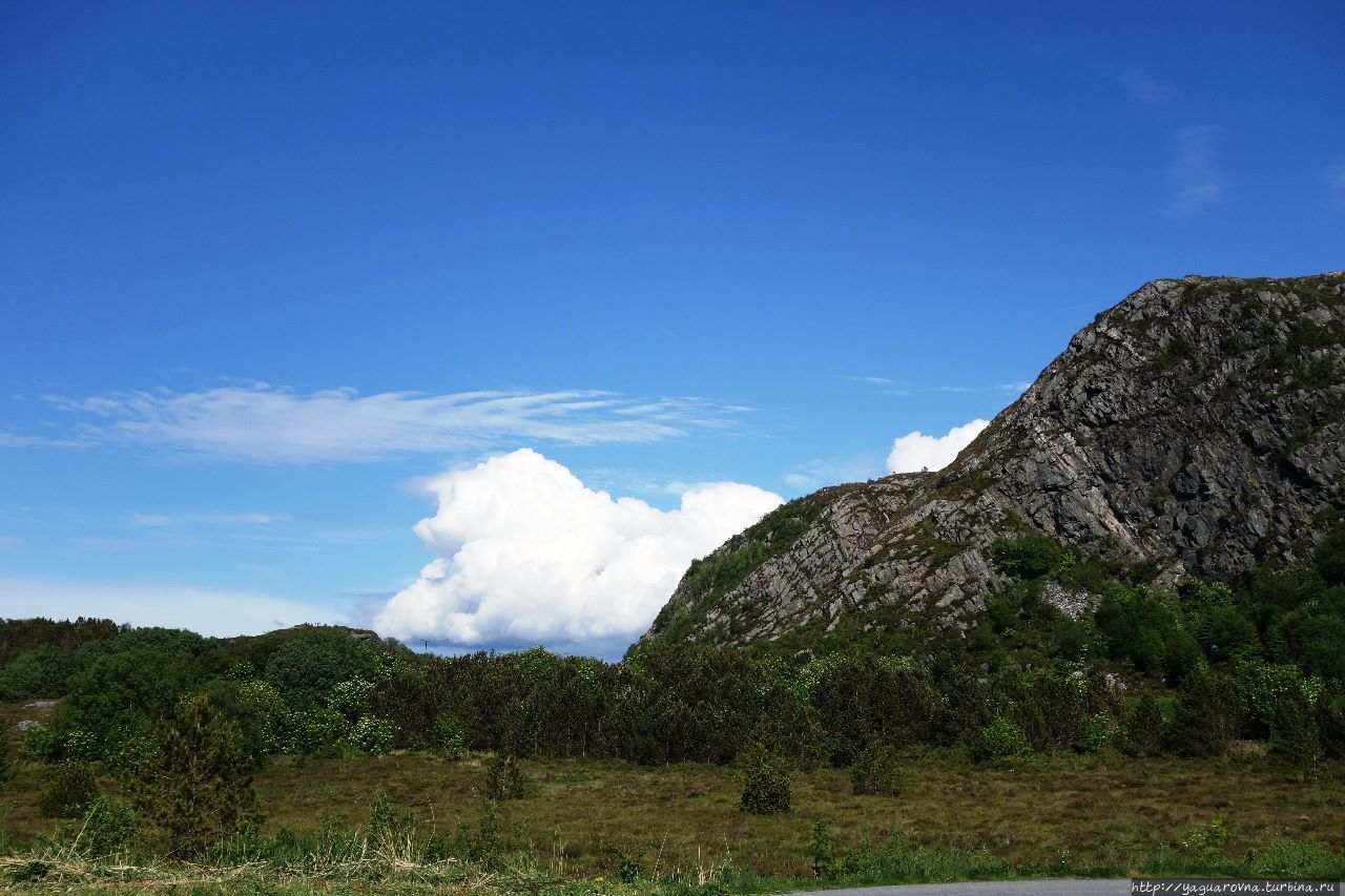 Аквариум Олесунн, Норвегия Аквариум Олесунн, Норвегия