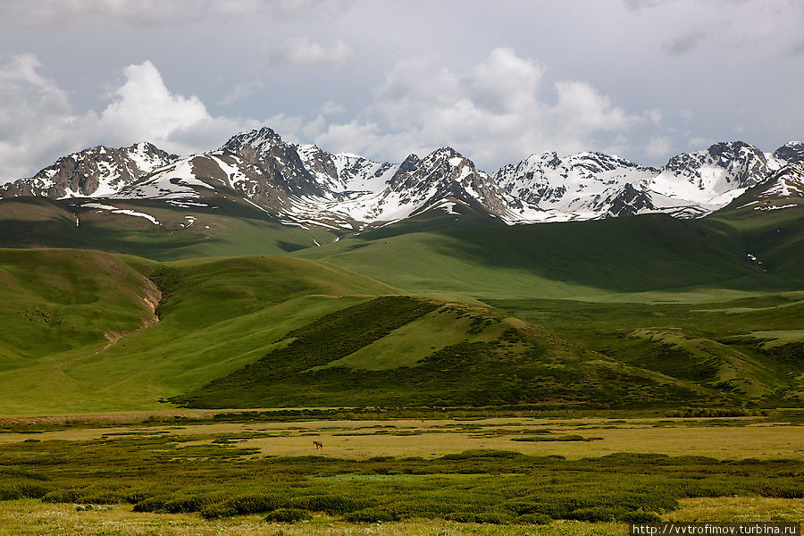 Сусамырская долина. Киргизия
