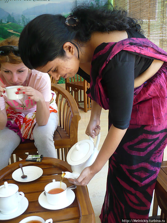 Прогулка по чайной плантации и цейлонское чаепитие Центральная провинция, Шри-Ланка