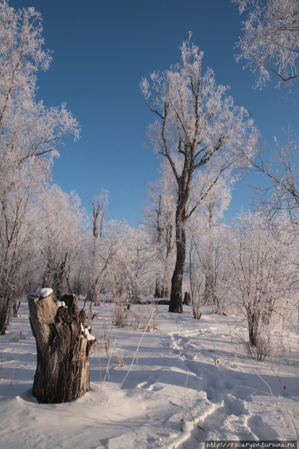 Вот и прошла моя зима на Камчатке Быстринский Природный Парк, Россия