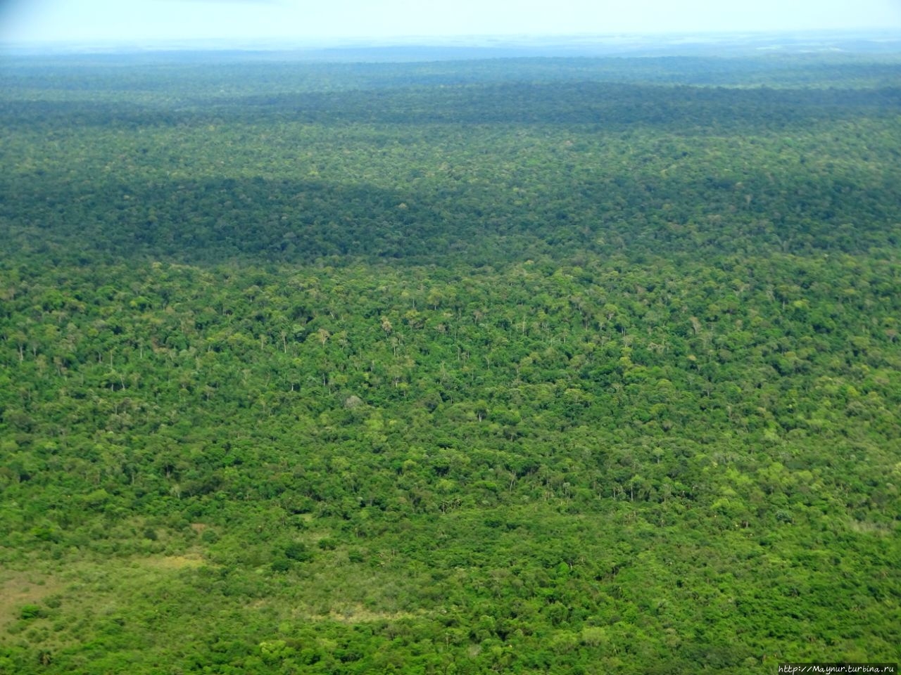 Бескрайние джунгли. Игуасу национальный парк (Бразилия), Бразилия