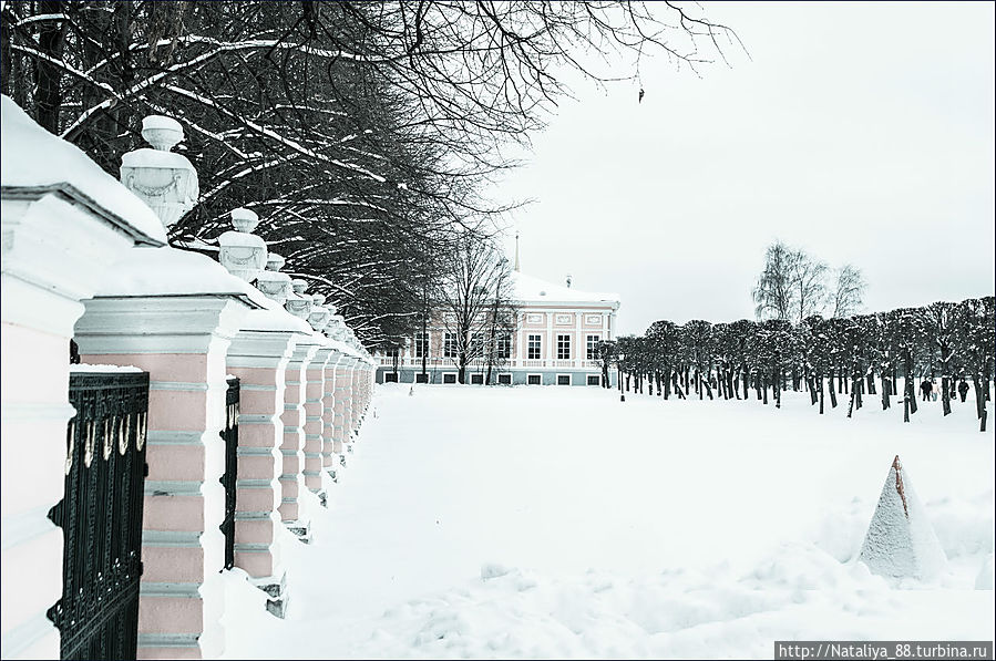 Зимний парк Кусково Москва, Россия