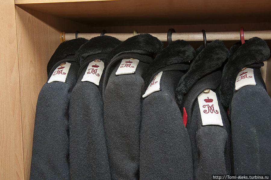 На шинелях красуются погоны — отличительные знаки Кадетского корпуса...
*