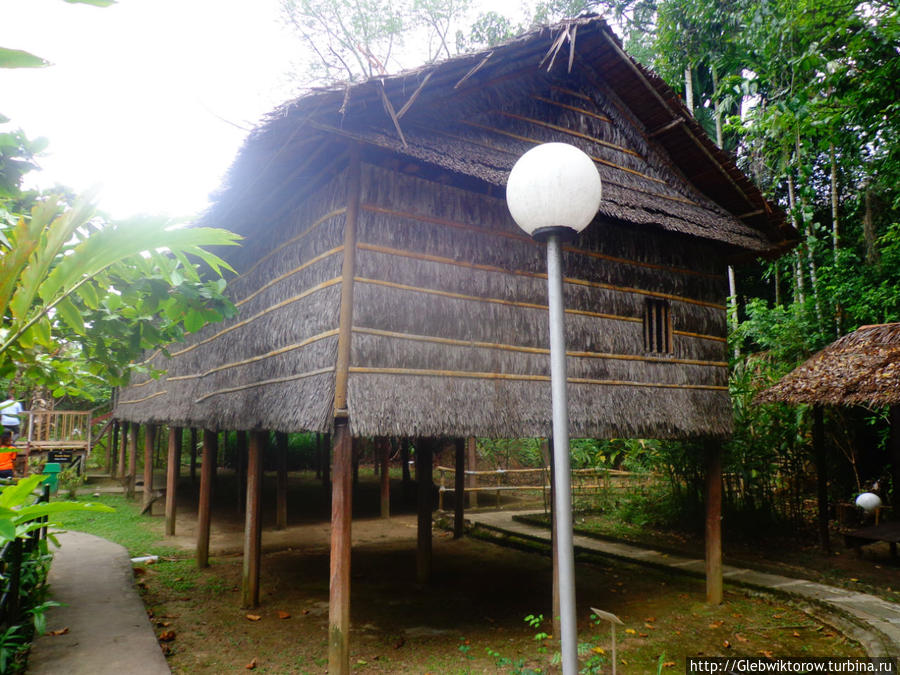 Провинциальный музей Кота-Кинабалу, Малайзия