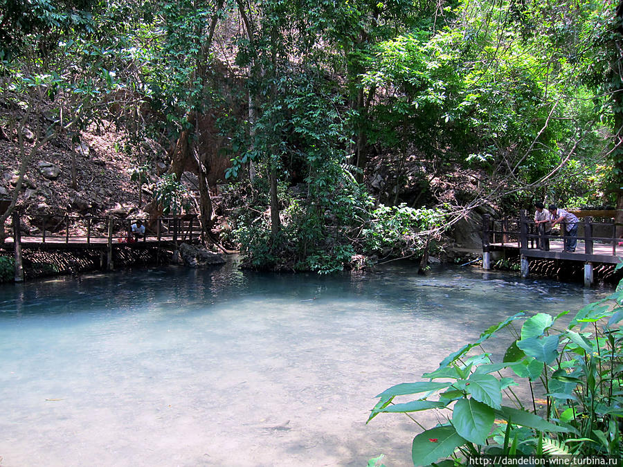 Рыбья пещера (Fish Cave, Thampla-Phasua waterfall park) Мае-Хонг-Сон, Таиланд