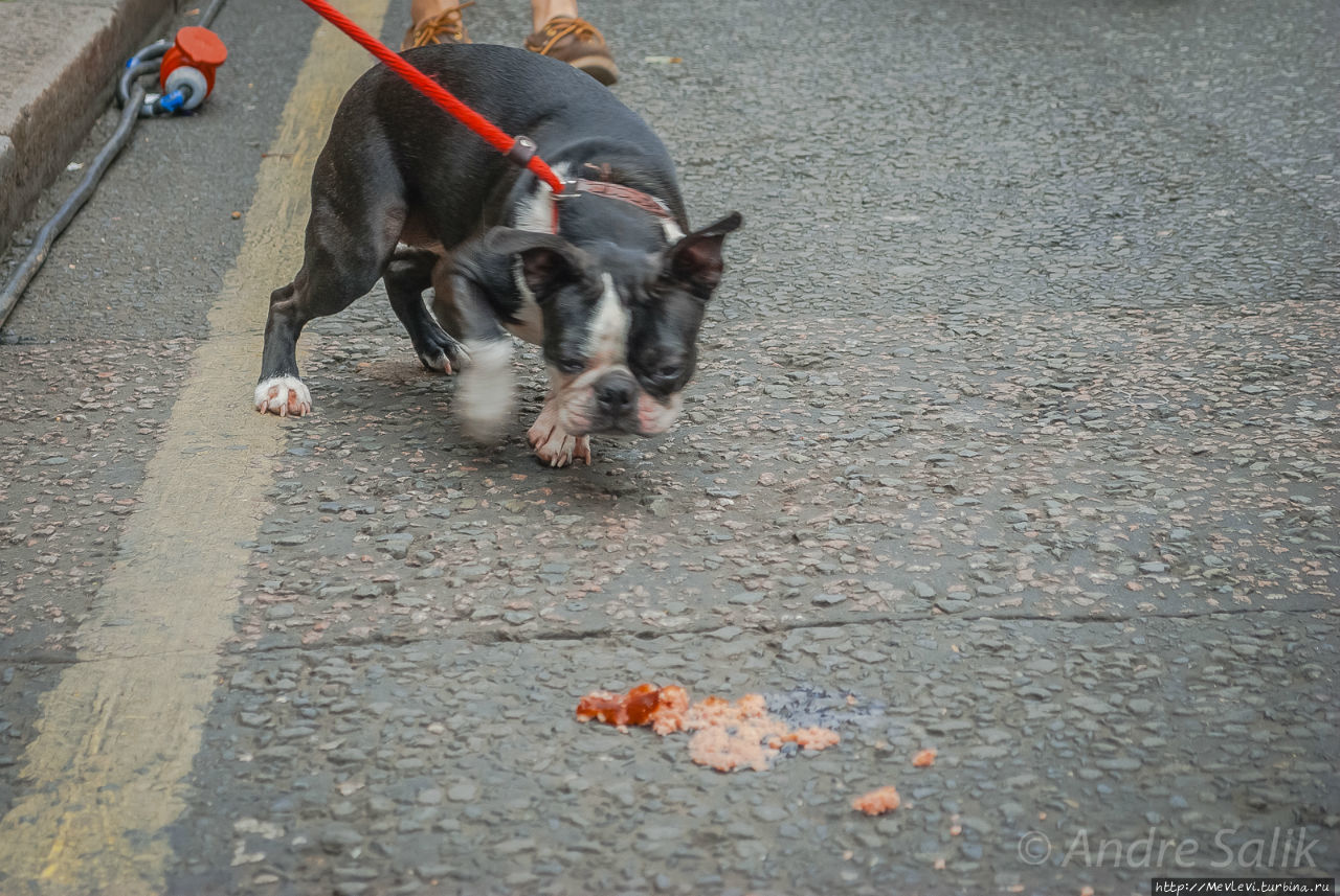 Пасмурное лондонское утро Лондон, Великобритания