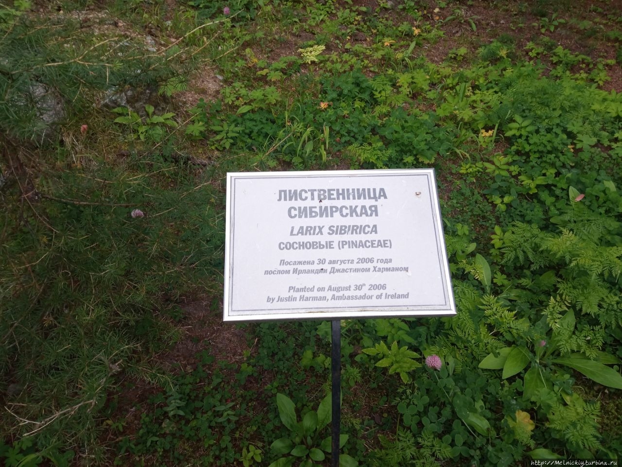 Ботанический сад Соловецкие острова, Россия