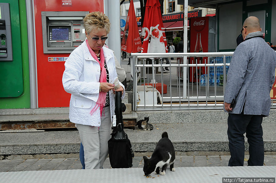 Быстрые зарисовки в Стамбуле Стамбул, Турция