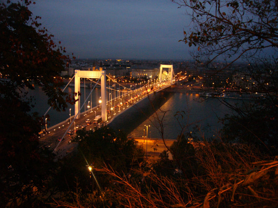 Мост Эржебет Будапешт, Венгрия
