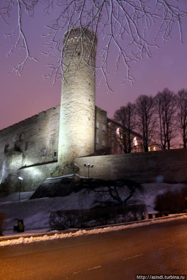 Замок Тоомпеа-башя  Длинный Герман Таллин, Эстония