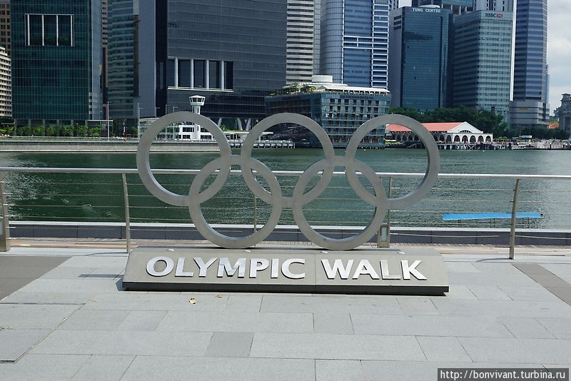 Начало олимпийской аллеи — небольшой аллеи их пальм, посаженной во время Юношеских Олимпийских Игр Сингапур (город-государство)