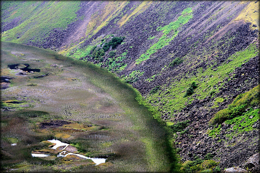 Достопримечательности острова Пасхи (RANO KAU) Остров Пасхи, Чили