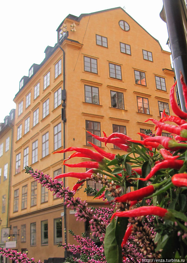 Все дороги ведут в Гамла Стан Стокгольм, Швеция