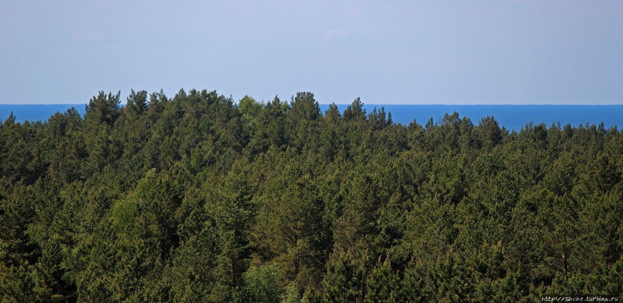 Гора Гарняй (колония бакланов и цапель) Куршю Нярия Национальный Парк, Литва
