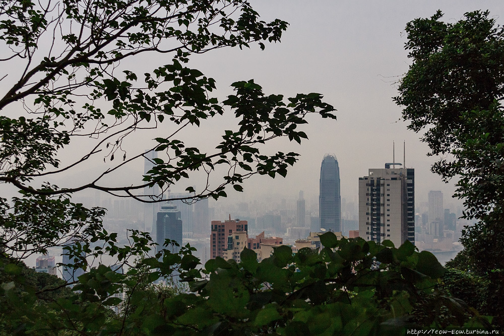 Смотровая площадка на крыше — платная, хотя на дорожках на склоне холма полно бесплатных не хуже. Виктория, Гонконг