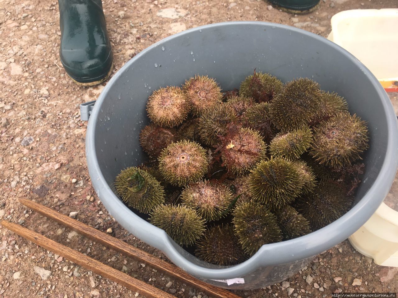 Сен-Пьер. Остатки Новой Франции Остров Сен-Пьер, Сен-Пьер и Микелон