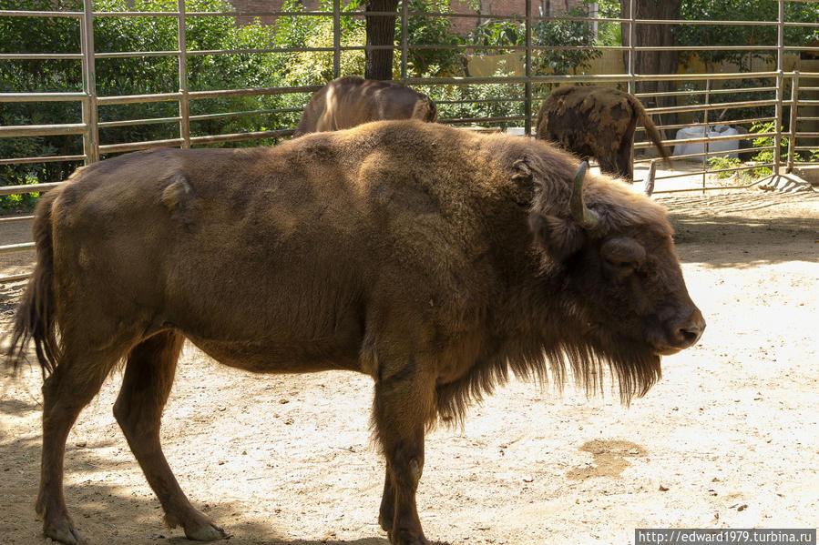 Зоопарк Барселоны Барселона, Испания