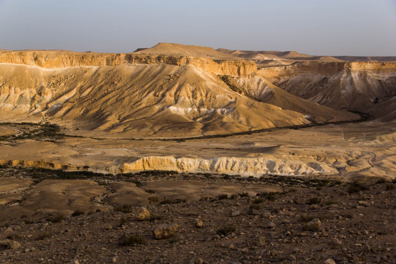 Пустыня Негев. Ущелье Цин Негев Пустыня, Израиль