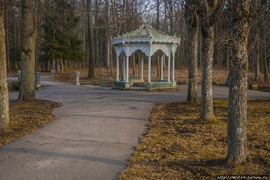 Прогулка по Кемери Кемери, Латвия