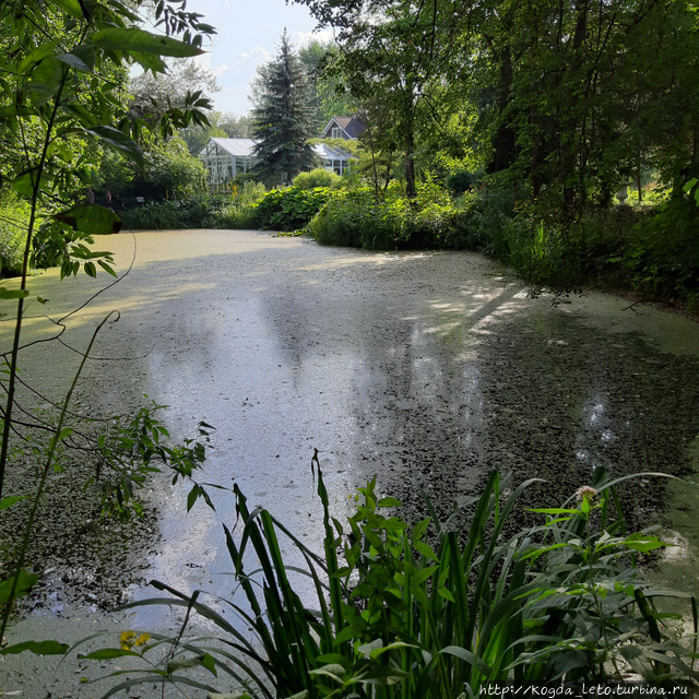 Тверь. Часть 2: Ботанический сад. Тверь, Россия