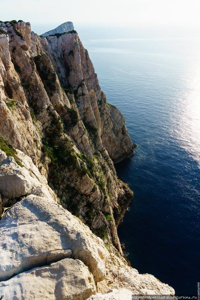Sardegna полуостров Капо ди Каччиа Альгеро, Италия