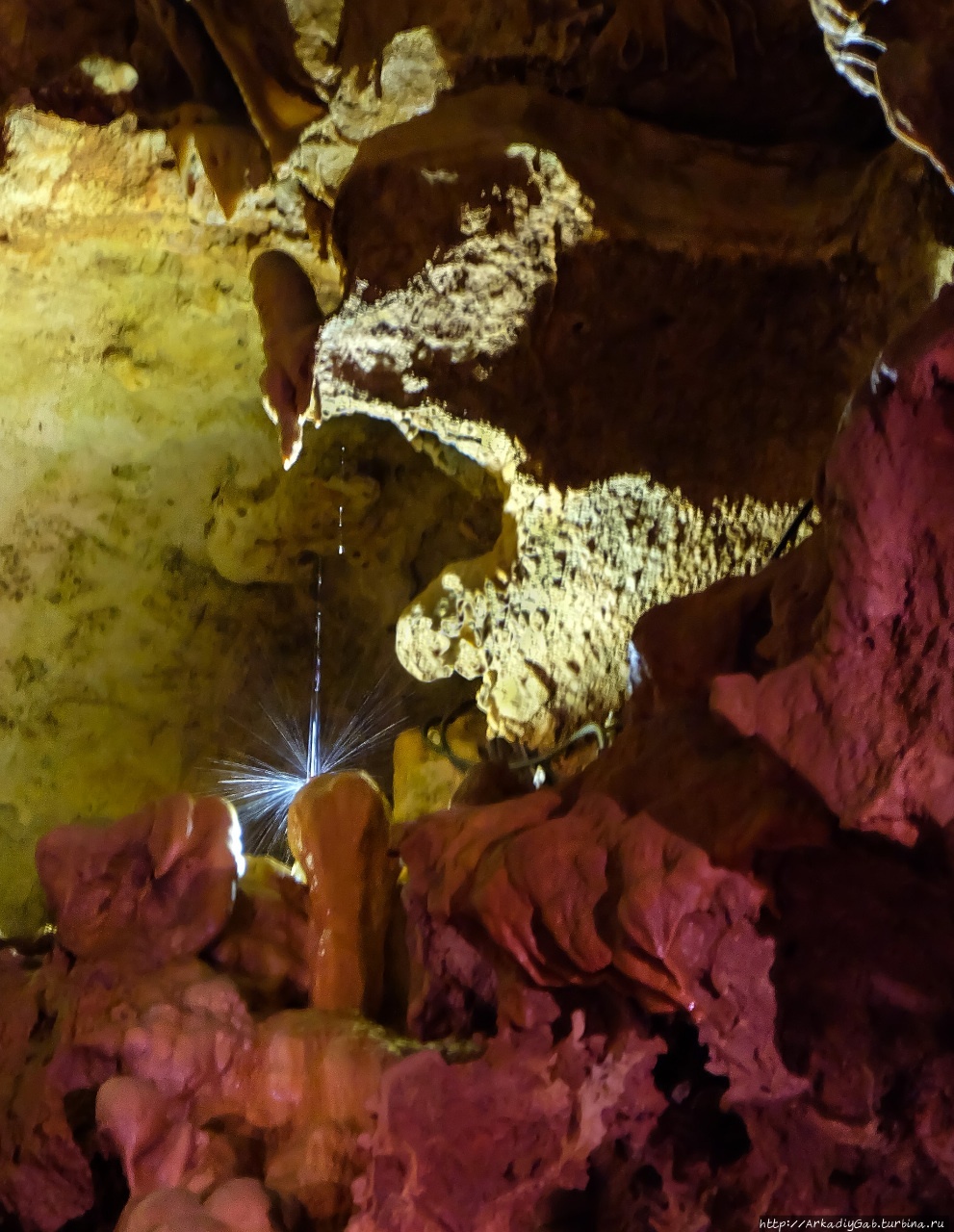 Цирк, да не только Мурез, Франция