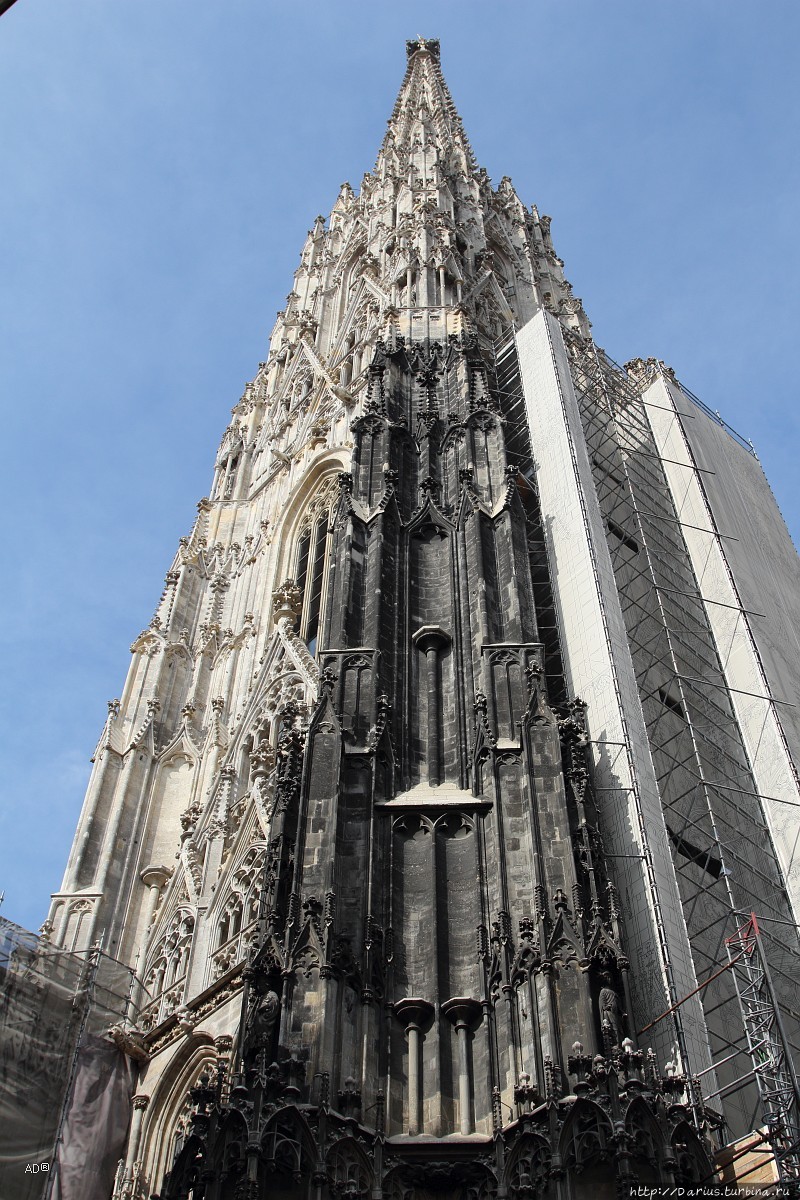 Вена, церкви — Собор Святого Стефана и Троицкий собор Вена, Австрия