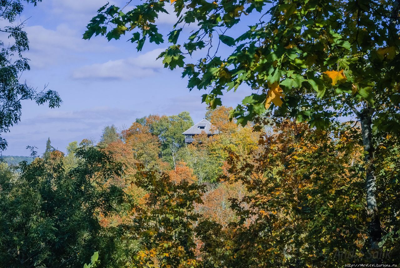 Рыжая осень, Сигулда Сигулда, Латвия