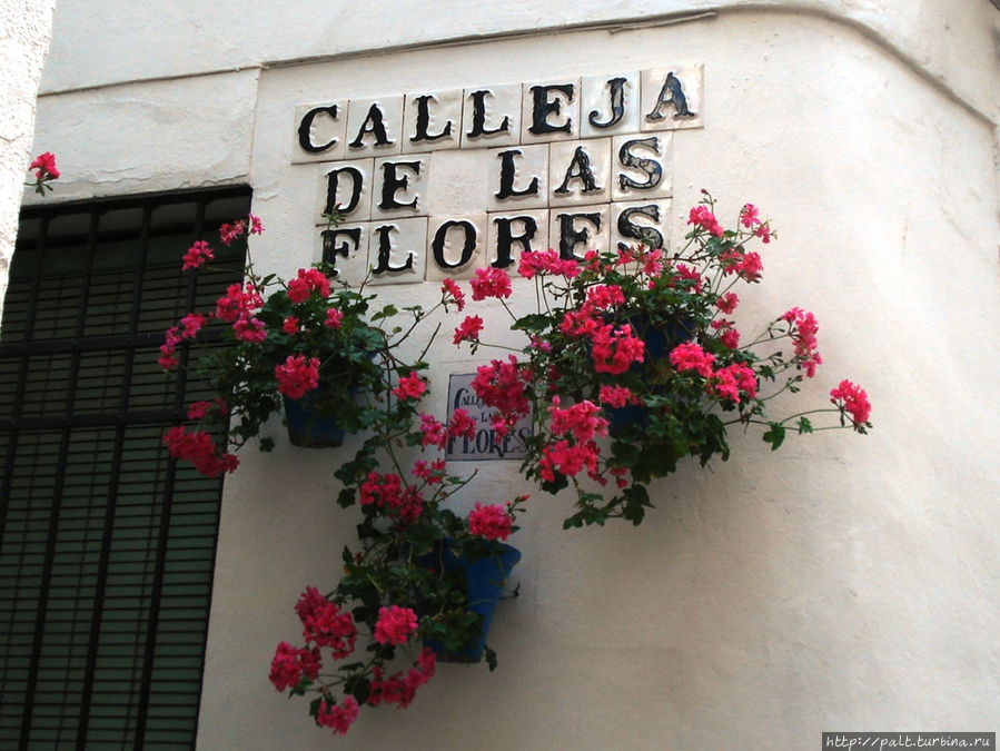 Не пропустите цветочное чудо Кордовы Кордова, Испания