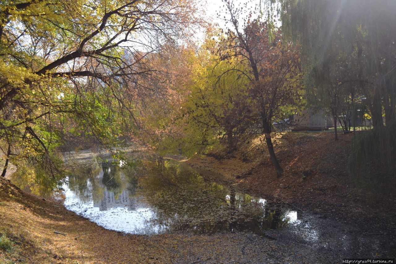 Городской парк культуры и отдыха 