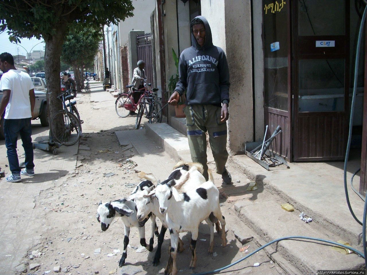 Как я провел этим летом в стране козлов Асмэра, Эритрея