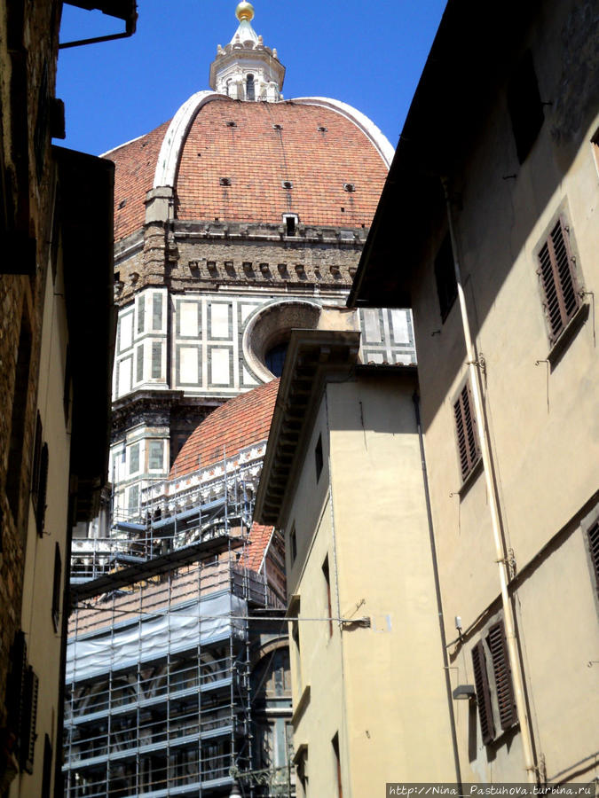 Флоренция — культурный шок Флоренция, Италия
