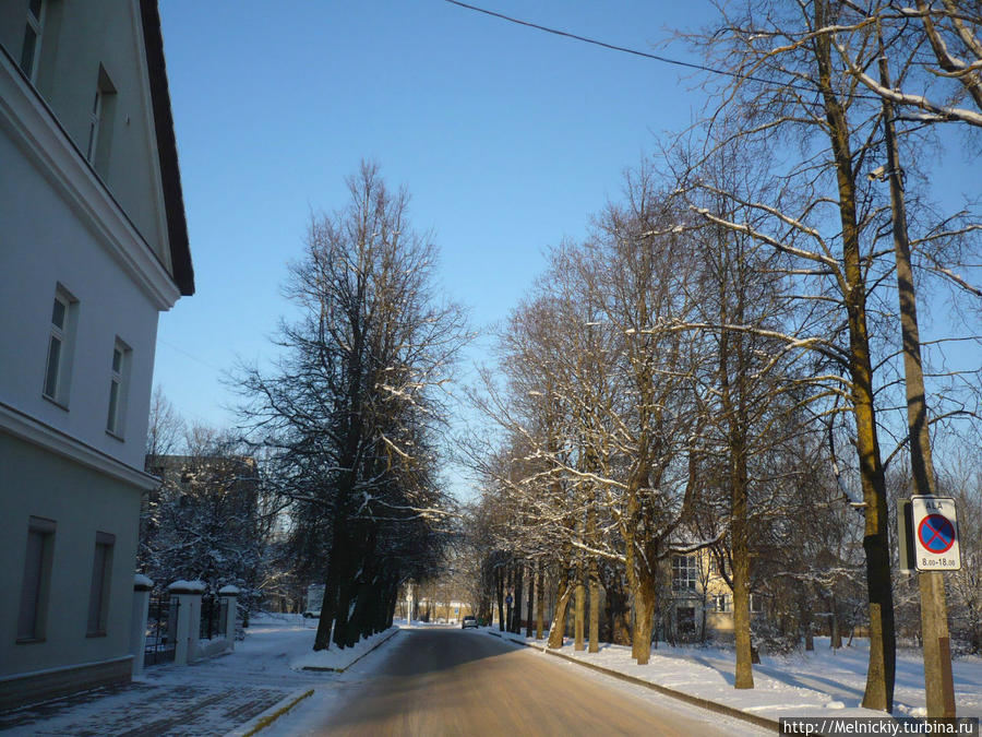 Прогулка по Нарве в зимний солнечный день Нарва, Эстония