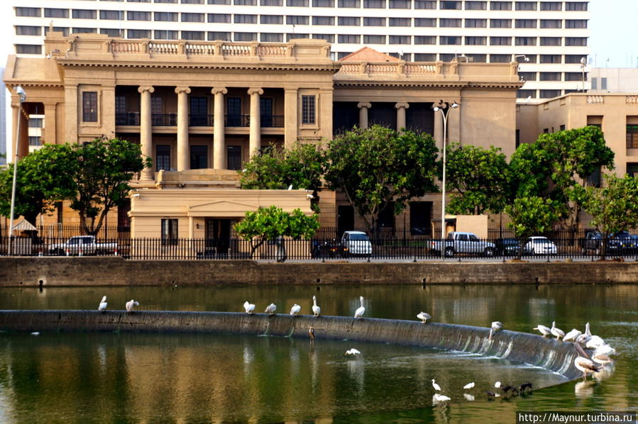 Мечты    сбываются... Коломбо, Шри-Ланка