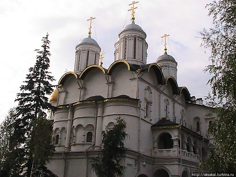 Кремль. Церковь 12 апостолов.. Москва, Россия