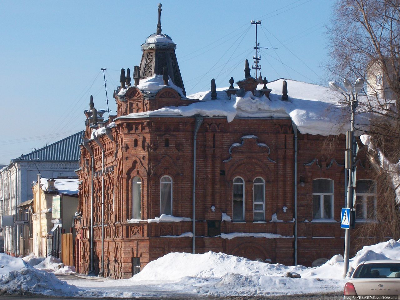 Лебединая песня из Алтайской зимовки Бийск, Россия