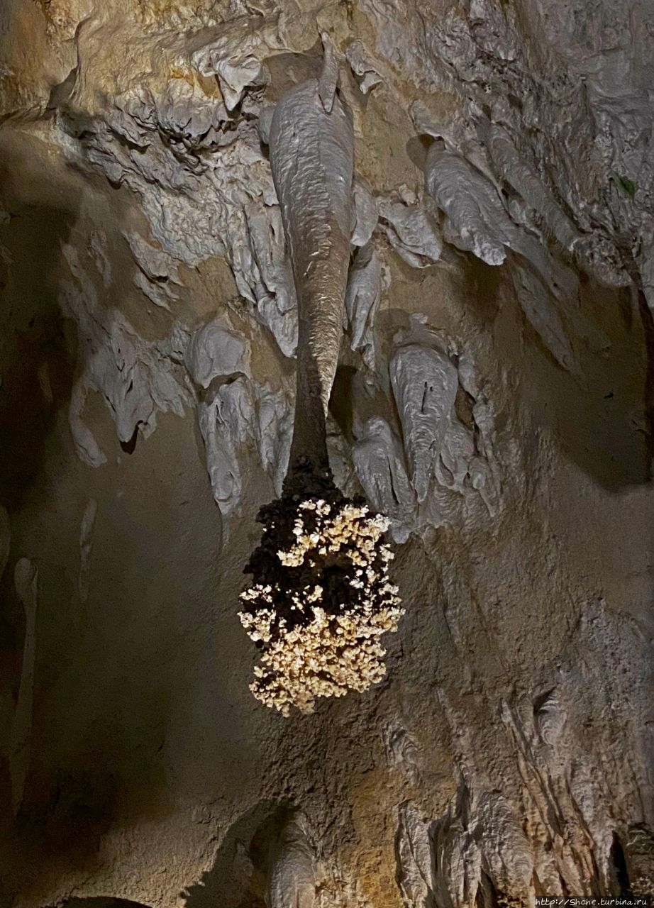Фото-вопрос. Давайте угадаем название сталактита Карлсбад-Кэвернс Национальный Парк, CША